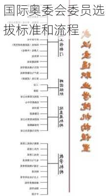 国际奥委会委员选拔标准和流程