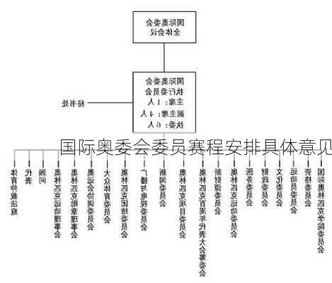 国际奥委会委员赛程安排具体意见