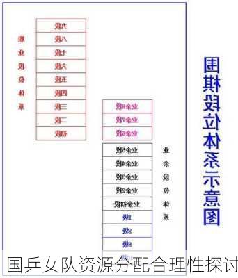 国乒女队资源分配合理性探讨