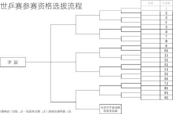 世乒赛参赛资格选拔流程