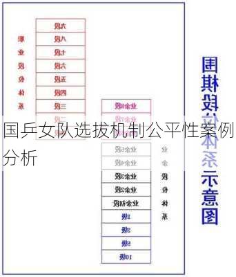 国乒女队选拔机制公平性案例分析