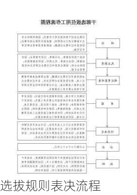 选拔规则表决流程