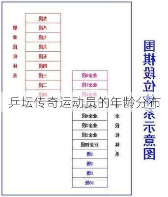 乒坛传奇运动员的年龄分布