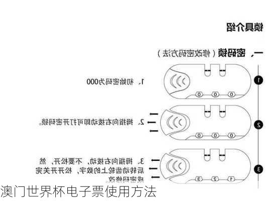 澳门世界杯电子票使用方法