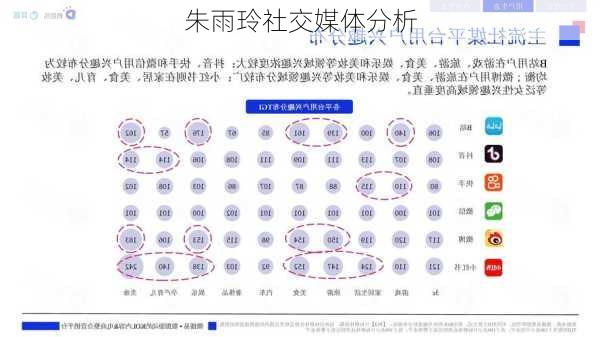 朱雨玲社交媒体分析