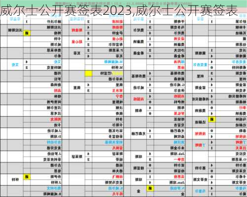 威尔士公开赛签表2023,威尔士公开赛签表