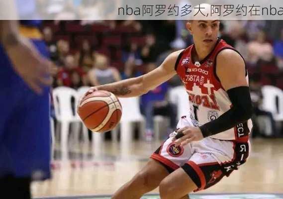 nba阿罗约多大,阿罗约在nba