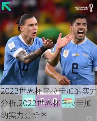 2022世界杯乌拉圭加纳实力分析,2022世界杯乌拉圭加纳实力分析图