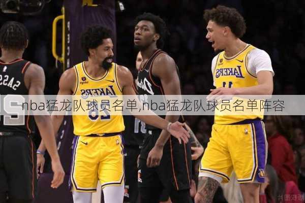 nba猛龙队球员名单,nba猛龙队球员名单阵容