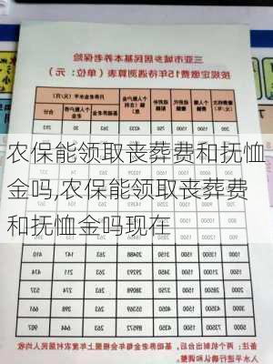 农保能领取丧葬费和抚恤金吗,农保能领取丧葬费和抚恤金吗现在