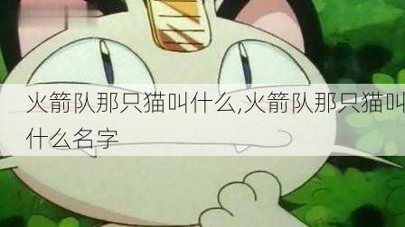 火箭队那只猫叫什么,火箭队那只猫叫什么名字