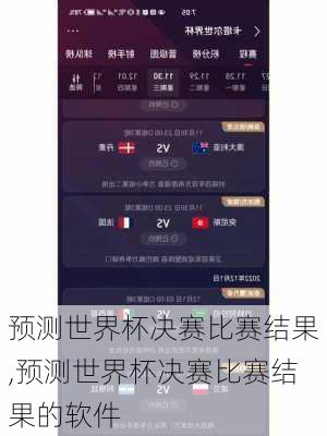 预测世界杯决赛比赛结果,预测世界杯决赛比赛结果的软件