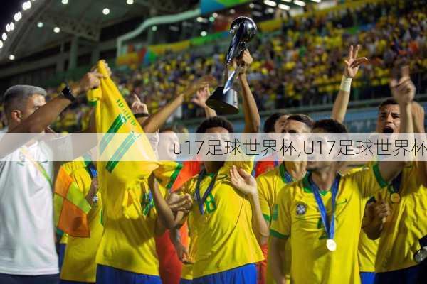 u17足球世界杯,U17足球世界杯