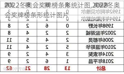 2022冬奥会奖牌榜条形统计图,2022冬奥会奖牌榜条形统计图片