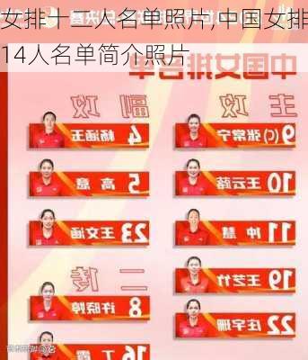 女排十二人名单照片,中国女排14人名单简介照片