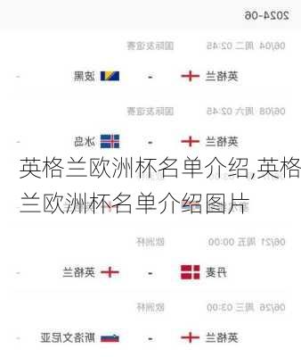 英格兰欧洲杯名单介绍,英格兰欧洲杯名单介绍图片