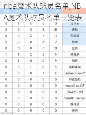 nba魔术队球员名单,NBA魔术队球员名单一览表