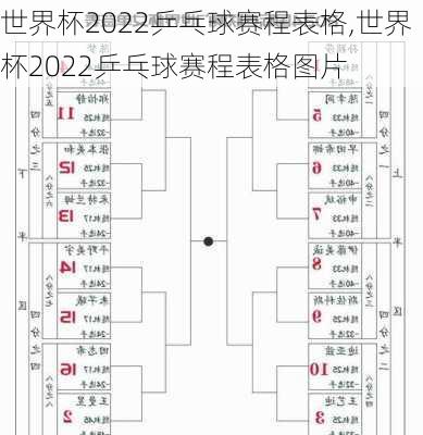 世界杯2022乒乓球赛程表格,世界杯2022乒乓球赛程表格图片