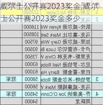 威尔士公开赛2023奖金,威尔士公开赛2023奖金多少