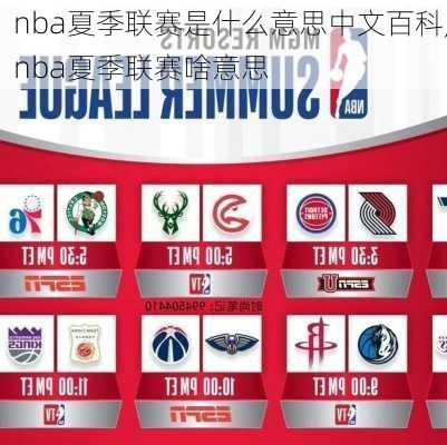 nba夏季联赛是什么意思中文百科,nba夏季联赛啥意思