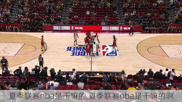 夏季联赛nba是干嘛的,夏季联赛nba是干嘛的啊