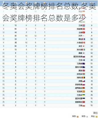 冬奥会奖牌榜排名总数,冬奥会奖牌榜排名总数是多少