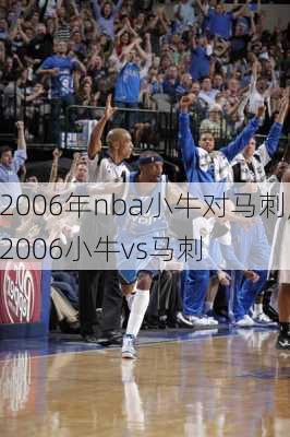 2006年nba小牛对马刺,2006小牛vs马刺