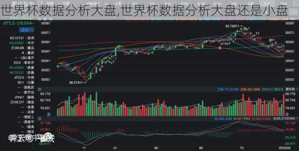 世界杯数据分析大盘,世界杯数据分析大盘还是小盘