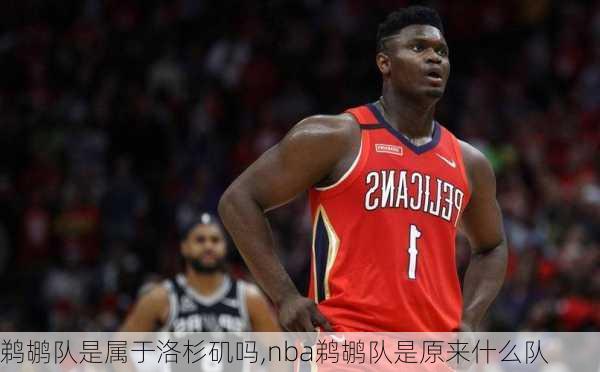 鹈鹕队是属于洛杉矶吗,nba鹈鹕队是原来什么队