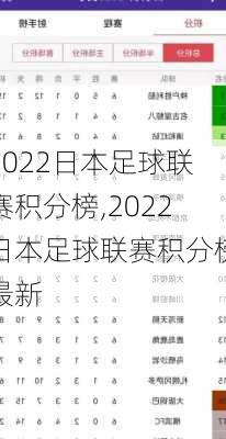 2022日本足球联赛积分榜,2022日本足球联赛积分榜最新