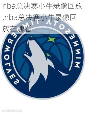 nba总决赛小牛录像回放,nba总决赛小牛录像回放在哪看