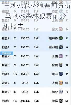 马刺vs森林狼赛前分析,马刺vs森林狼赛前分析报告