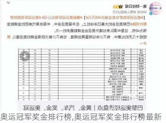 奥运冠军奖金排行榜,奥运冠军奖金排行榜最新