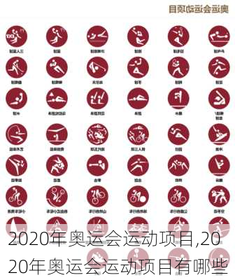 2020年奥运会运动项目,2020年奥运会运动项目有哪些