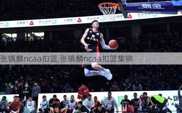 张镇麟ncaa扣篮,张镇麟ncaa扣篮集锦