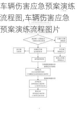 车辆伤害应急预案演练流程图,车辆伤害应急预案演练流程图片