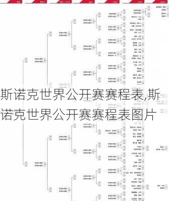 斯诺克世界公开赛赛程表,斯诺克世界公开赛赛程表图片