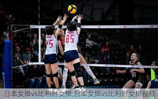 日本女排vs比利时女排,日本女排vs比利时女排视频