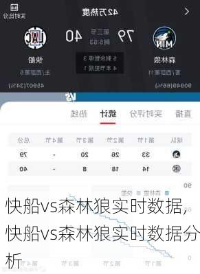 快船vs森林狼实时数据,快船vs森林狼实时数据分析