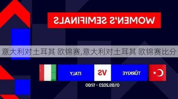 意大利对土耳其 欧锦赛,意大利对土耳其 欧锦赛比分