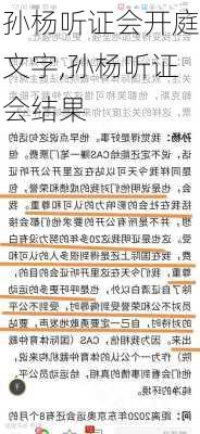 孙杨听证会开庭文字,孙杨听证会结果