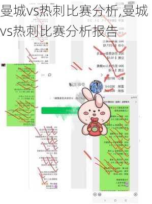 曼城vs热刺比赛分析,曼城vs热刺比赛分析报告